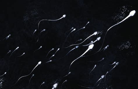 gay sperm|The Psychology of Semen, Part Two: Your Questions Answered.